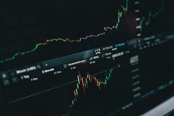 mt5中的investor是什么意思